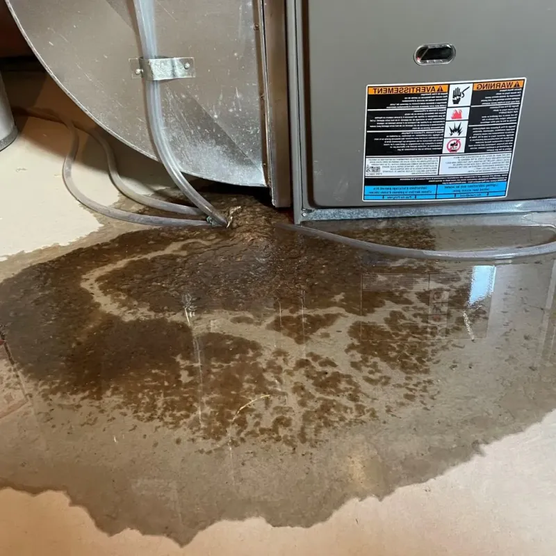 Pipe Burst and Leak Restoration in Tennessee Ridge, TN